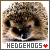 I like hedgehogs