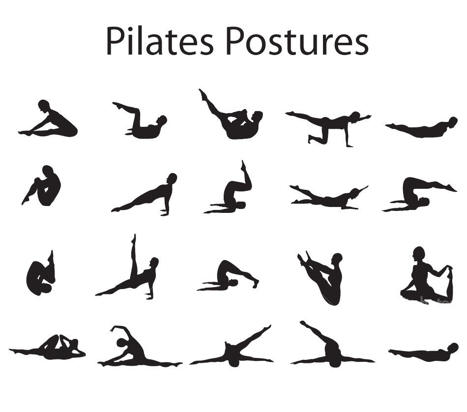 Pilates Exercices