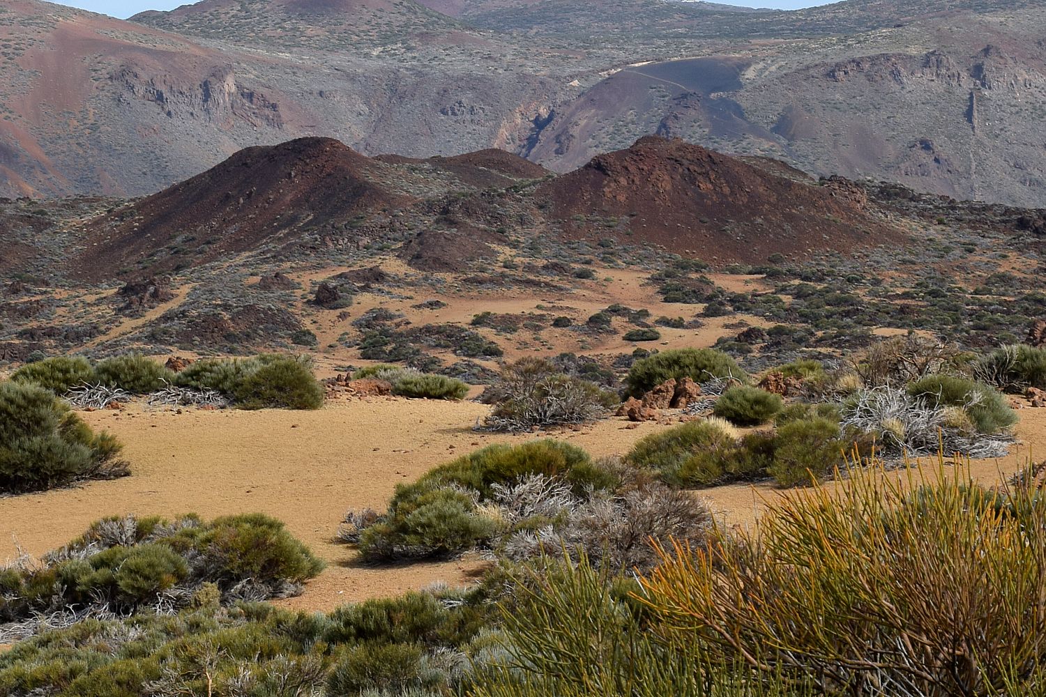 Discettazioni erranti: a passeggio nel semi deserto de las cañadas ... Balcone disegno Mexicanos