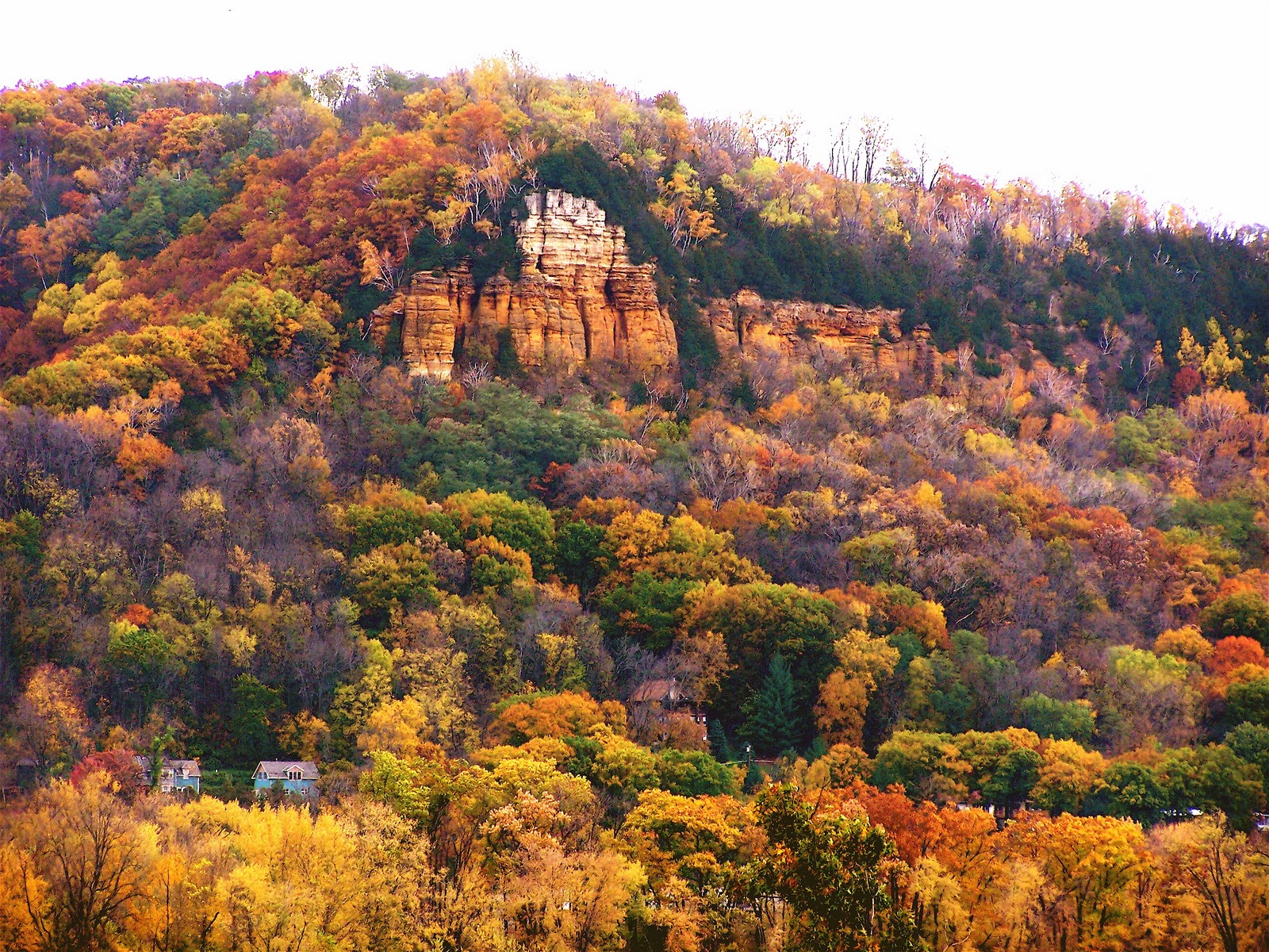 Eye on a Sparrow Fall Visit to the Bluff Country