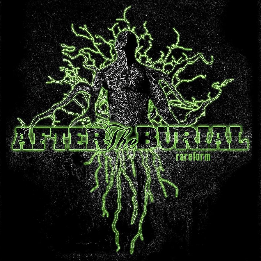 Expert Of Lyrics Blogspot (08.04.2016) After The Burial Rareform