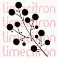 http://boutique.limecitron.com/boutique/index.php?route=product/product&product_id=676