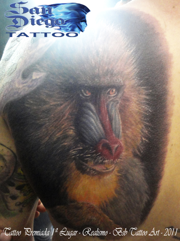 Sd Tattoo Sd Tattoo