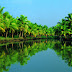 Under the shade of Scholars: My Dawah tour to Kerala
