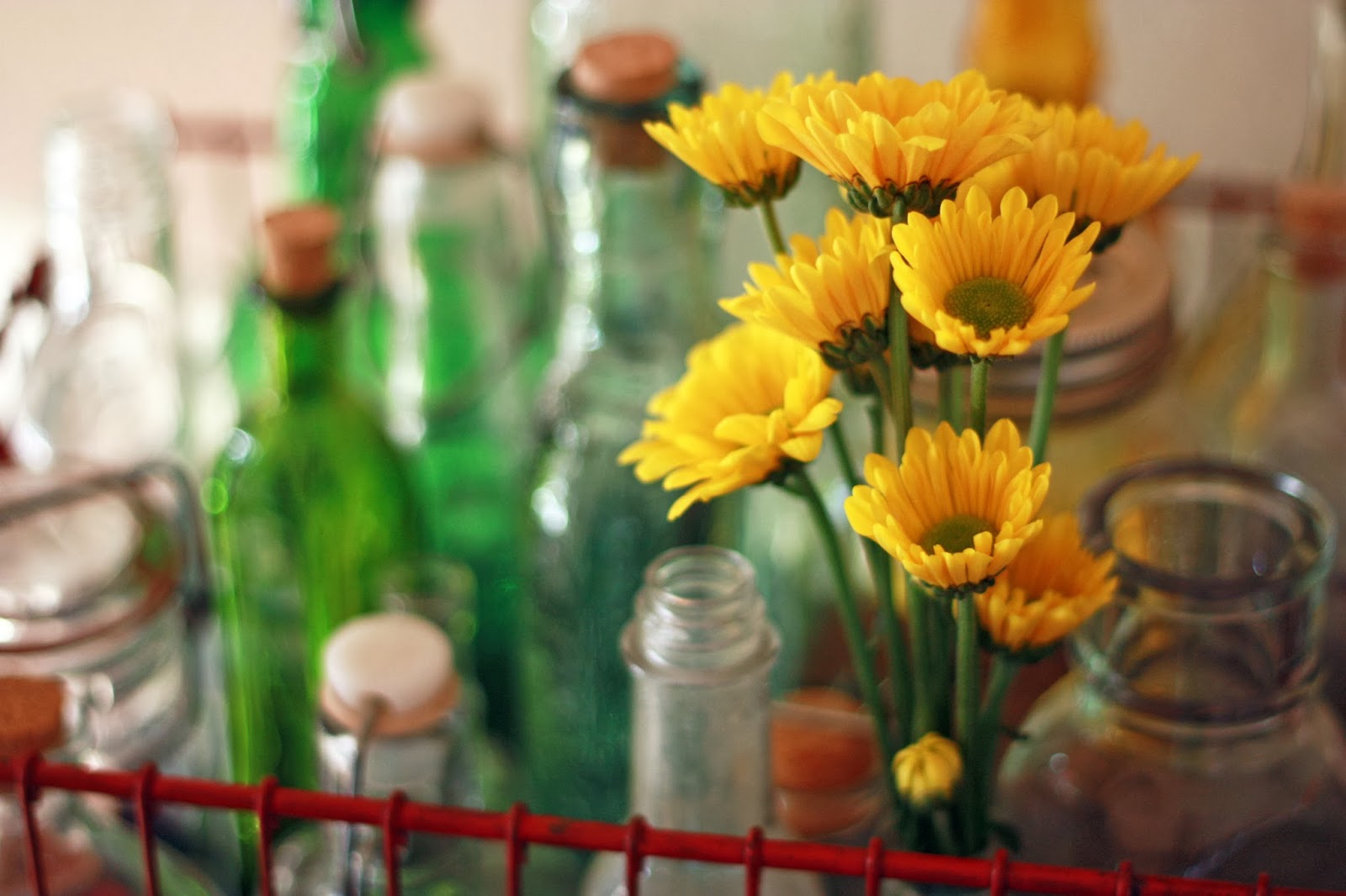 PaperTurtle My weekend, with flowers in the house