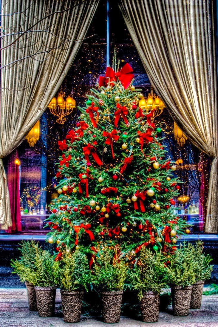 A Beautiful Christmas Tree in Downtown Chicago Fantastic Materials