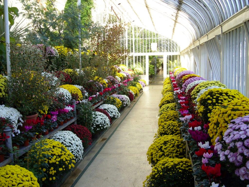 Kelli�s Northern Ireland Garden Botanic Gardens Autumn