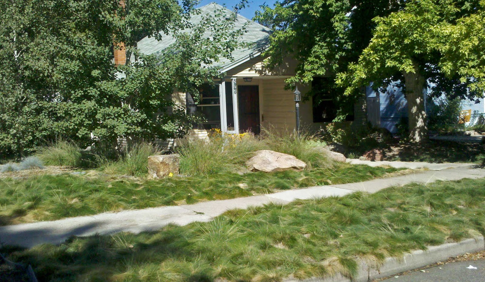 Landscape Design Focus Low Maintenance Garden Share Bristol Landscape Design Focus Low Maintenance Garden Share Bristol