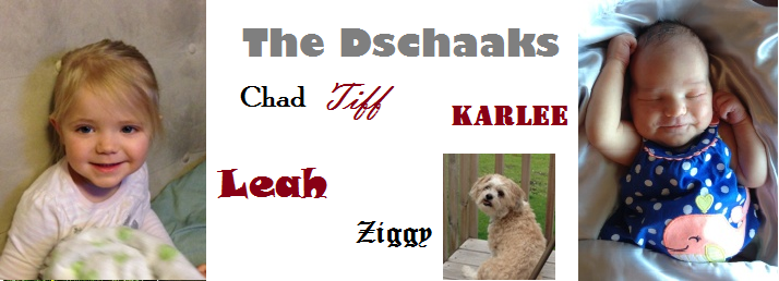 The Dschaak's