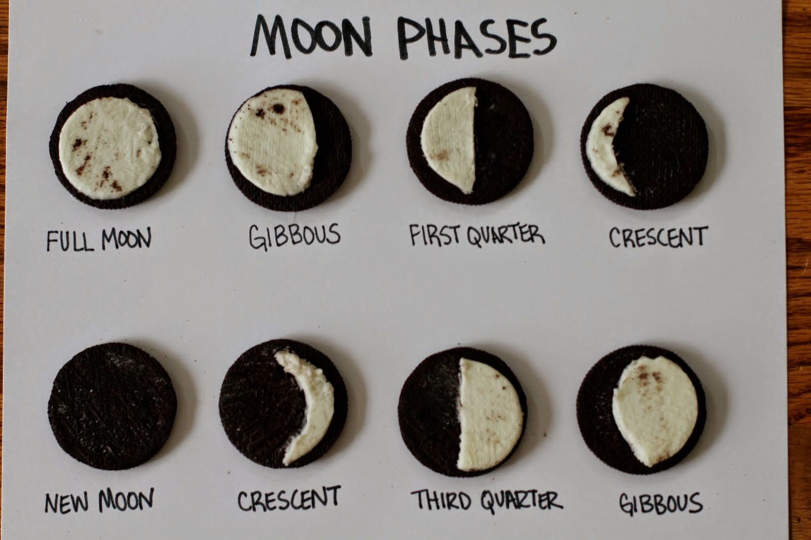 Teaching Science With Lynda: Total Lunar Eclipse and Moon Phases Lesson