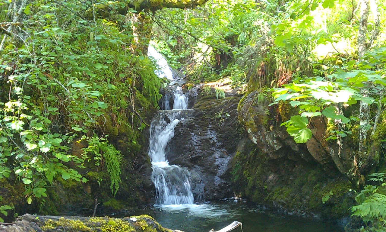 Laracha en dous pés