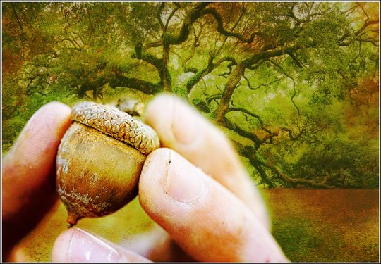Rudolf Steiner: Awakening Spiritual Faculties