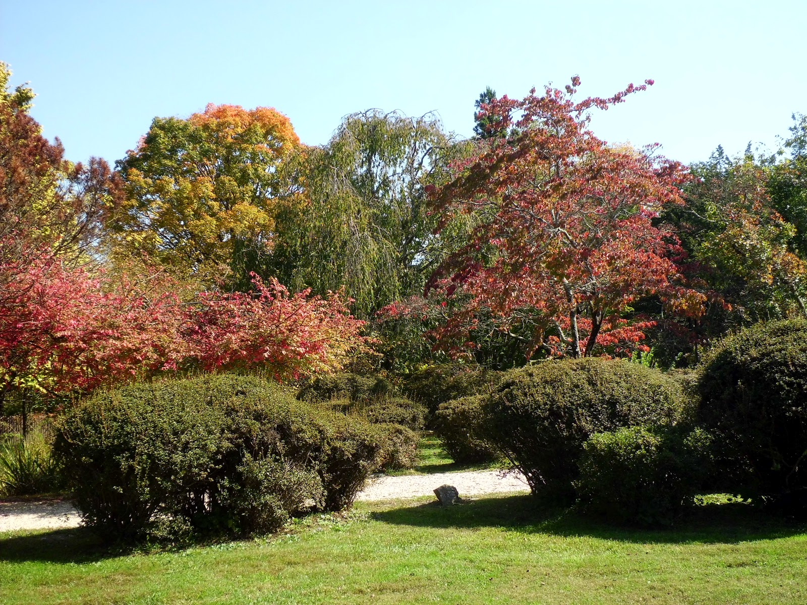 Japanese Stroll Garden