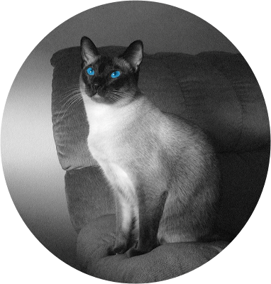 Obviously Momma Photoshopped this picture ... hee hee!