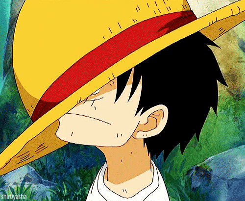 GIFS ONE PIECE gifs one piece: