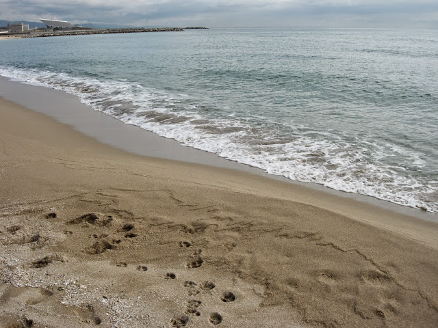 DSCN9859.JPG