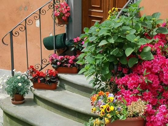 [Image: house-flowers-3.jpg]