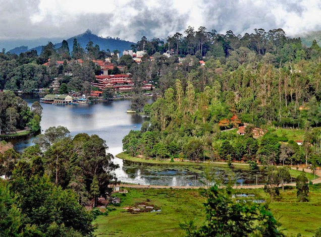 Discover India: Things to see or do in Kodaikanal , Tamil Nadu , India