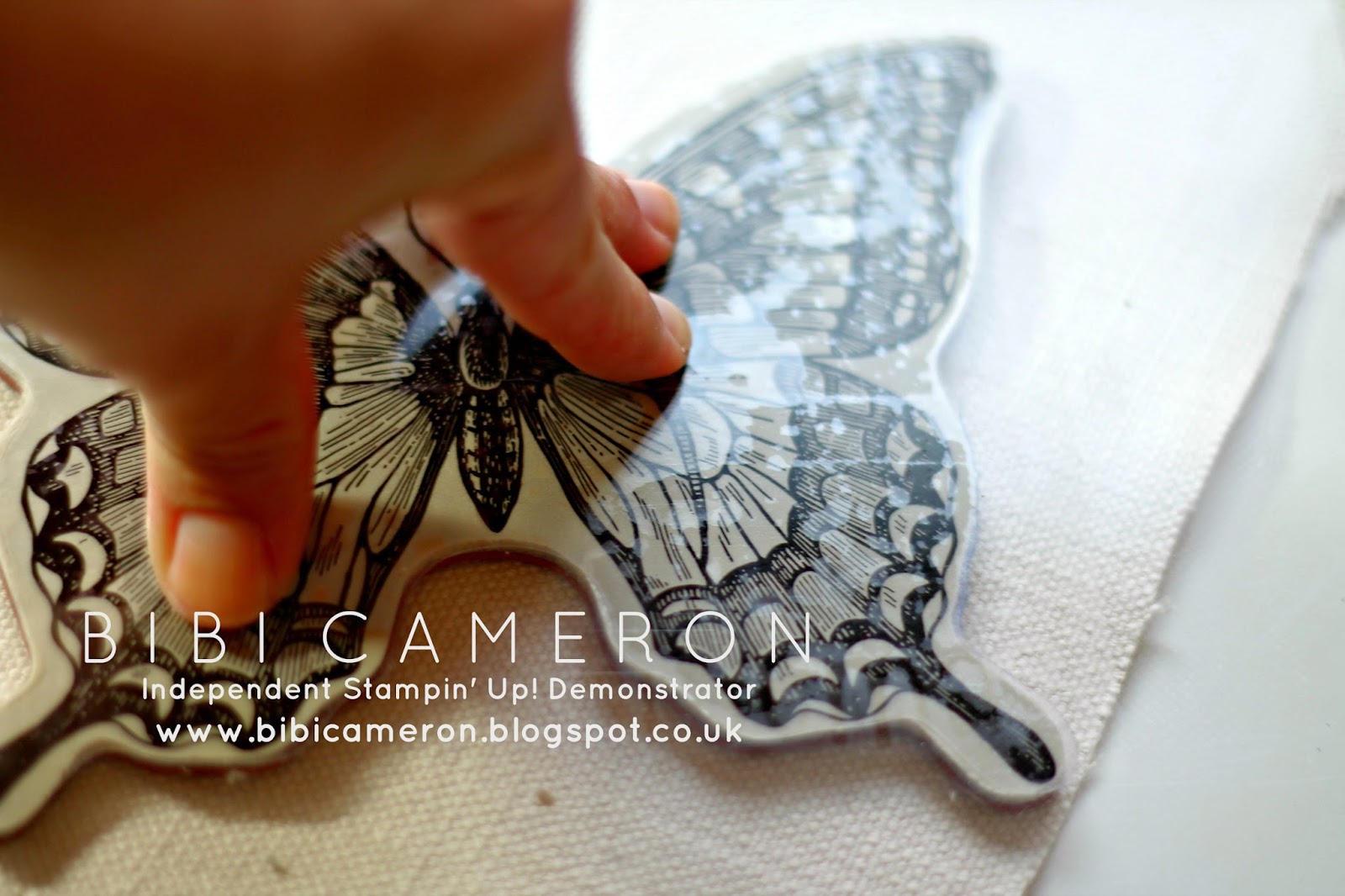 Swallowtail Stampin Up