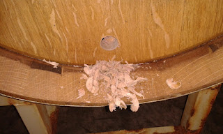 15/16th inch hole drilled into barrel about 2 fingers up 15/16th inch hole drilled into barrel about 2 fingers up