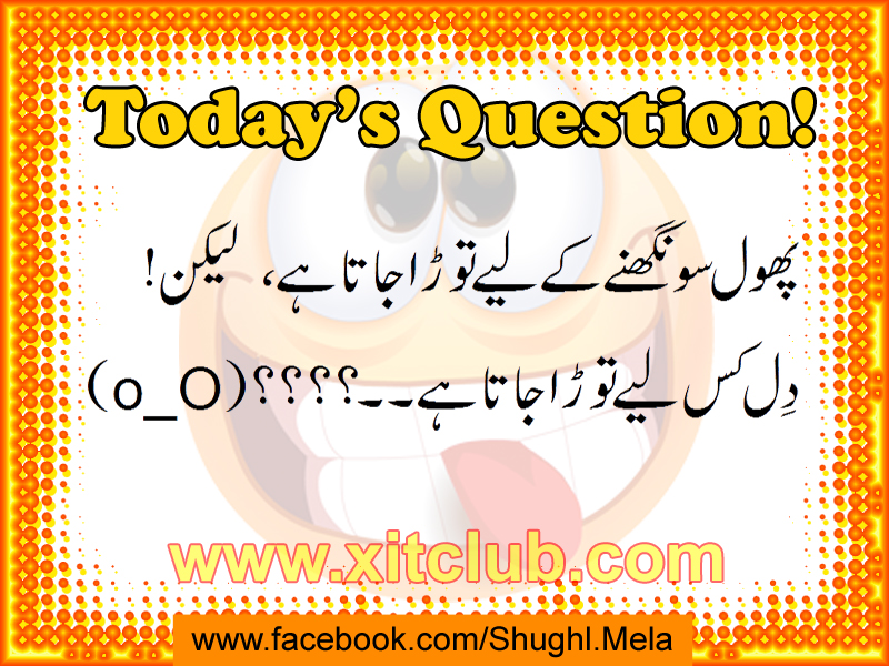 Latest Funny Urdu Questions Funny Punjabi Videos, Funny Images, Funny