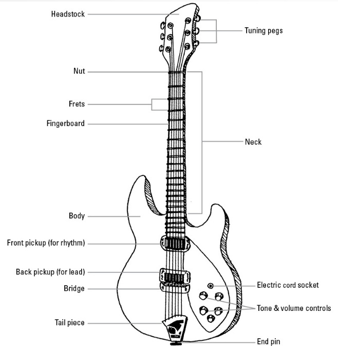 guitar anatomy and design guitar anatomy and design