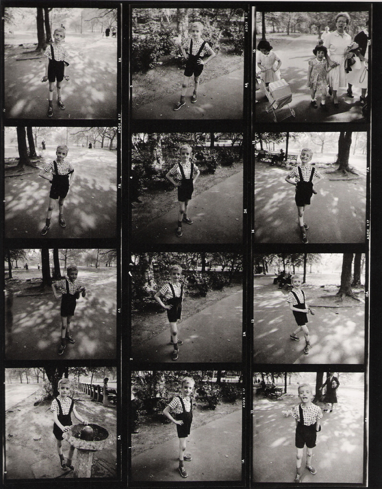 Diane arbus essay