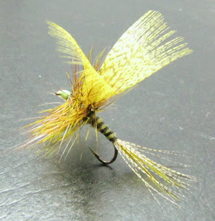 The Fan Wing Dry Fly