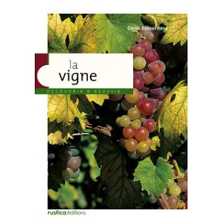 LA VIGNE