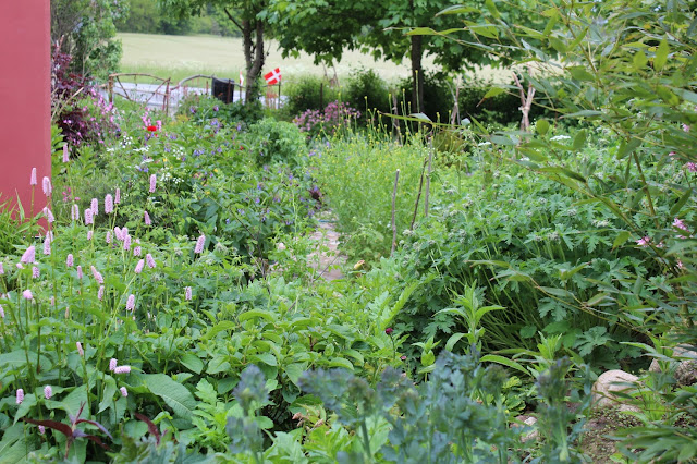Anettesflora: blomster herhjemme og madoplevelse på kähler villa ...