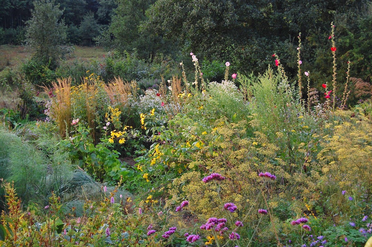 Reat Pond For A Long Narrow Space Sloped Garden Garden Yard