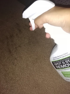 VeryDirtyCarpets_Carpet_Stain_Remover.jpg