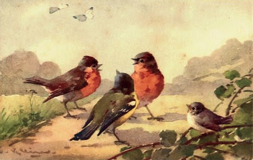 problemas, vício, alegria pássaros, pintura