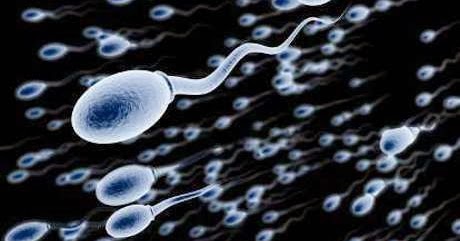 kumpulan ilmu menarik tentang agama ISLAM: Proses Penciptaan Manusia