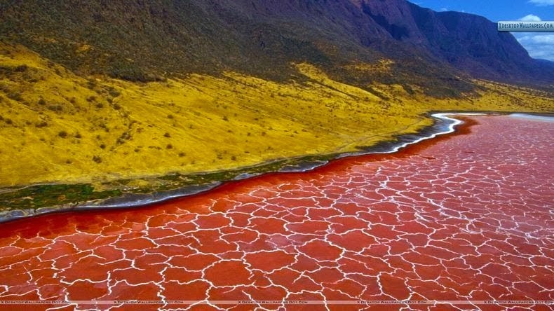 Danau Natron Danau Natron
