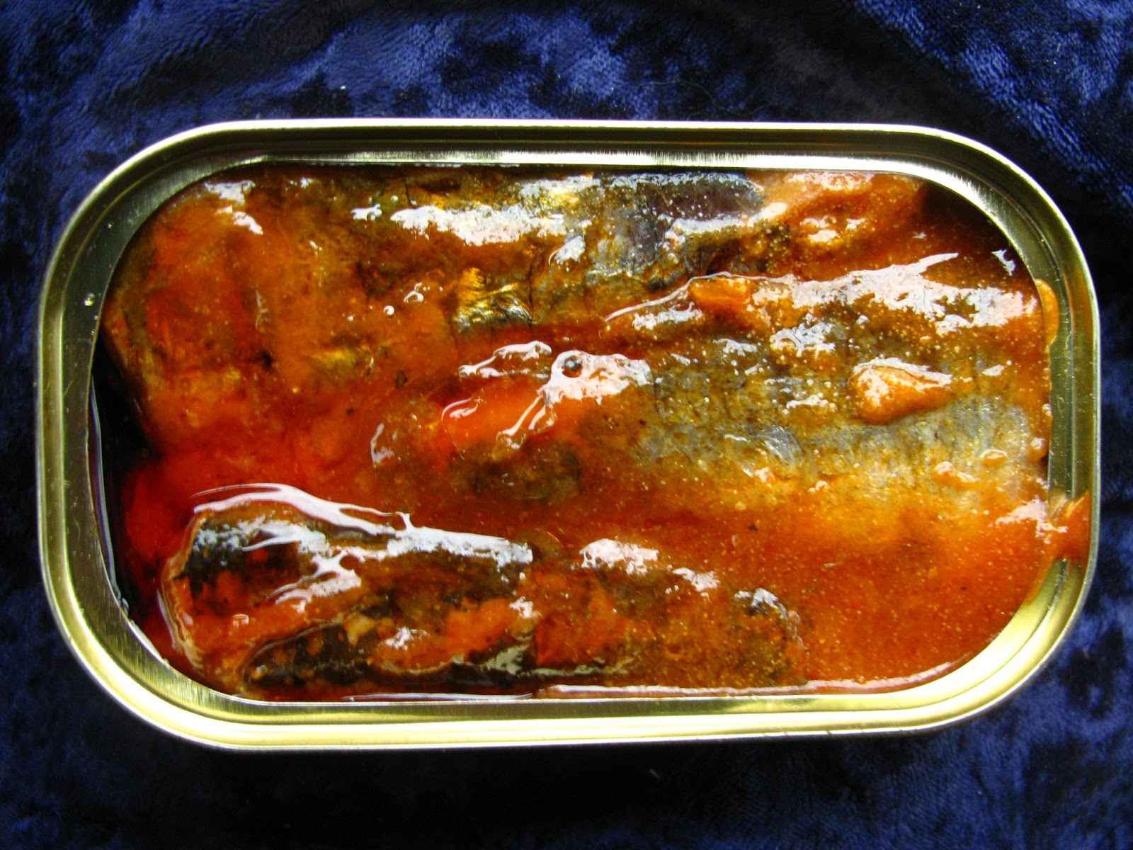 Mouth Full of Sardines NIXE 101