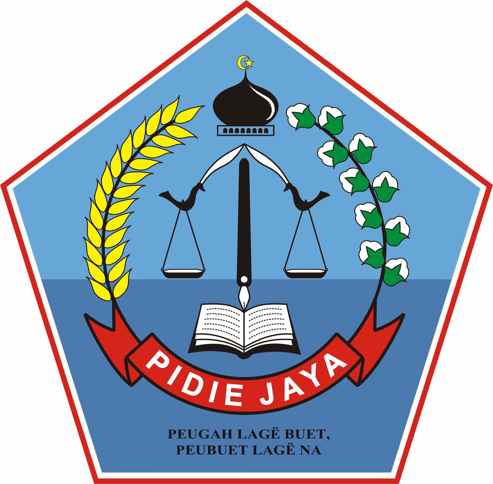 Pengumuman CPNS Meureudu - Kabupaten Pidie Jaya