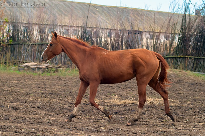 YY0P7705-245.jpg