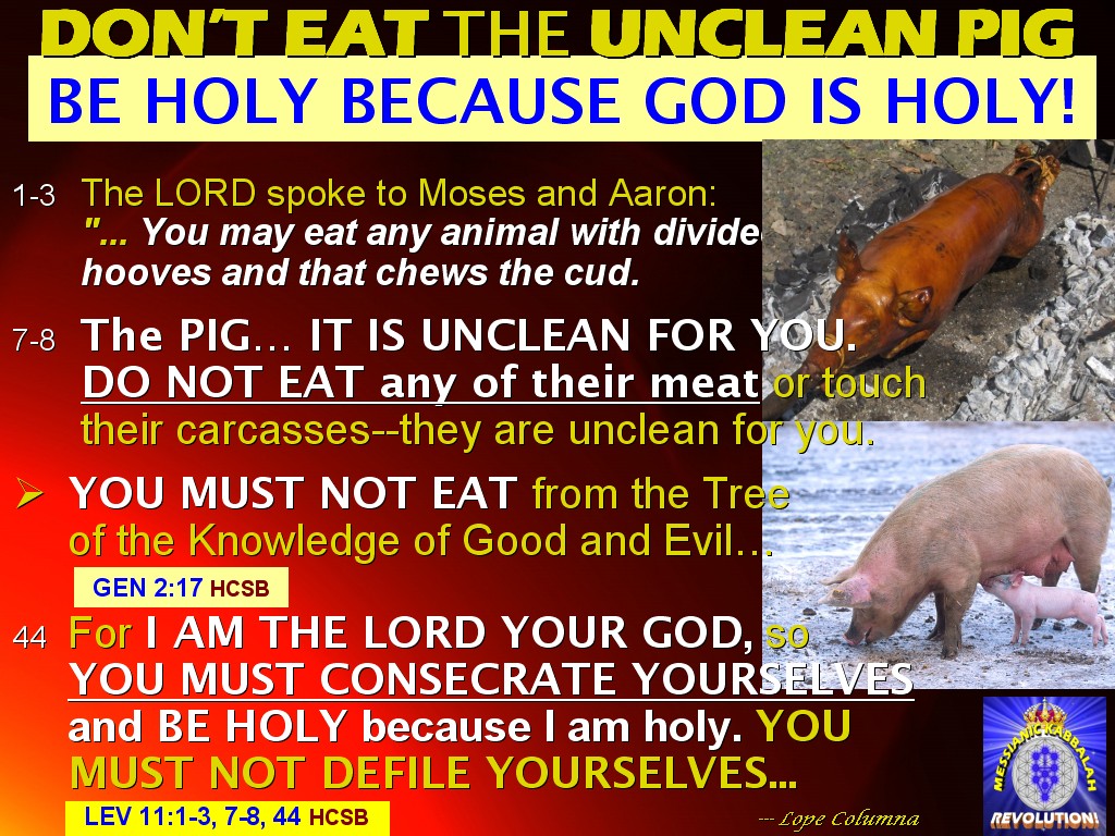 The BRIDE OF CHRIST Ministry of Life WHAT CAN WE FIND IN THE "HEART