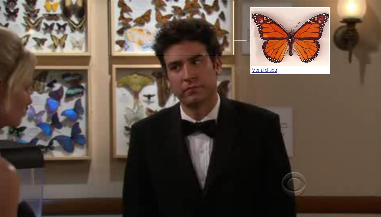 noicon101 How I Met your Mother Der Captain