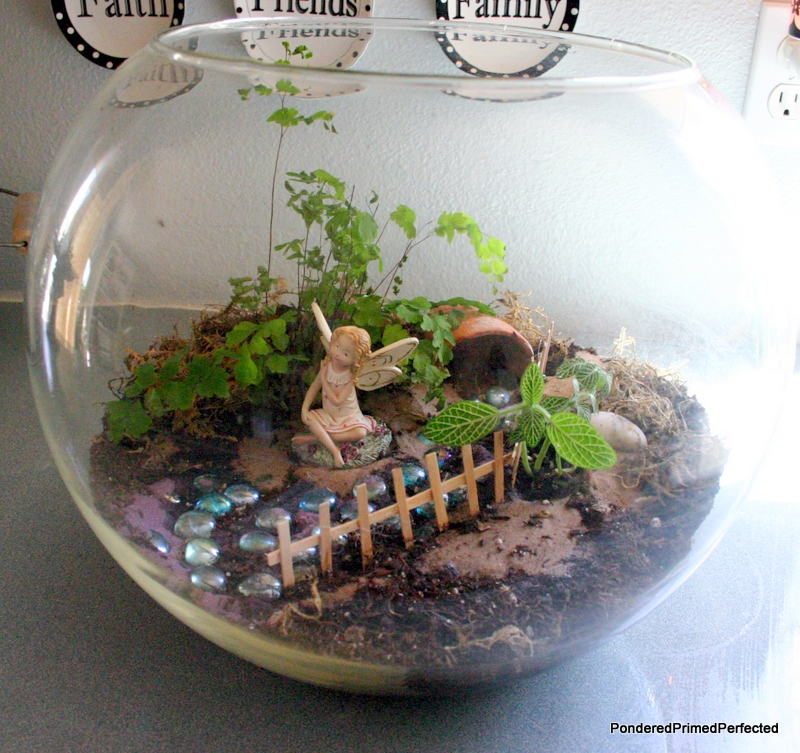 Pondered Primed Perfected Fairy Garden Terrarium