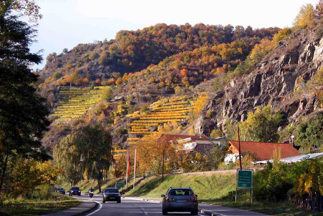 Weinberge der Wachau im Herbst © Copyright Monika Fuchs, TravelWorldOnline