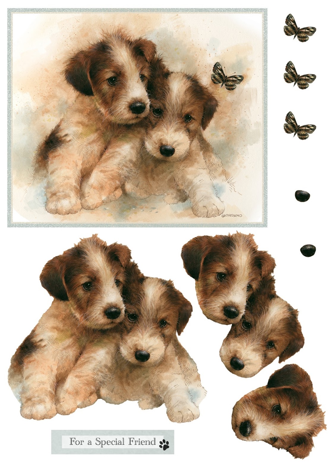 Country Creations Dog Food Reviews Country Creations Dog Food Reviews