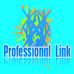 Professional Link