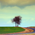 NA ESTRADA