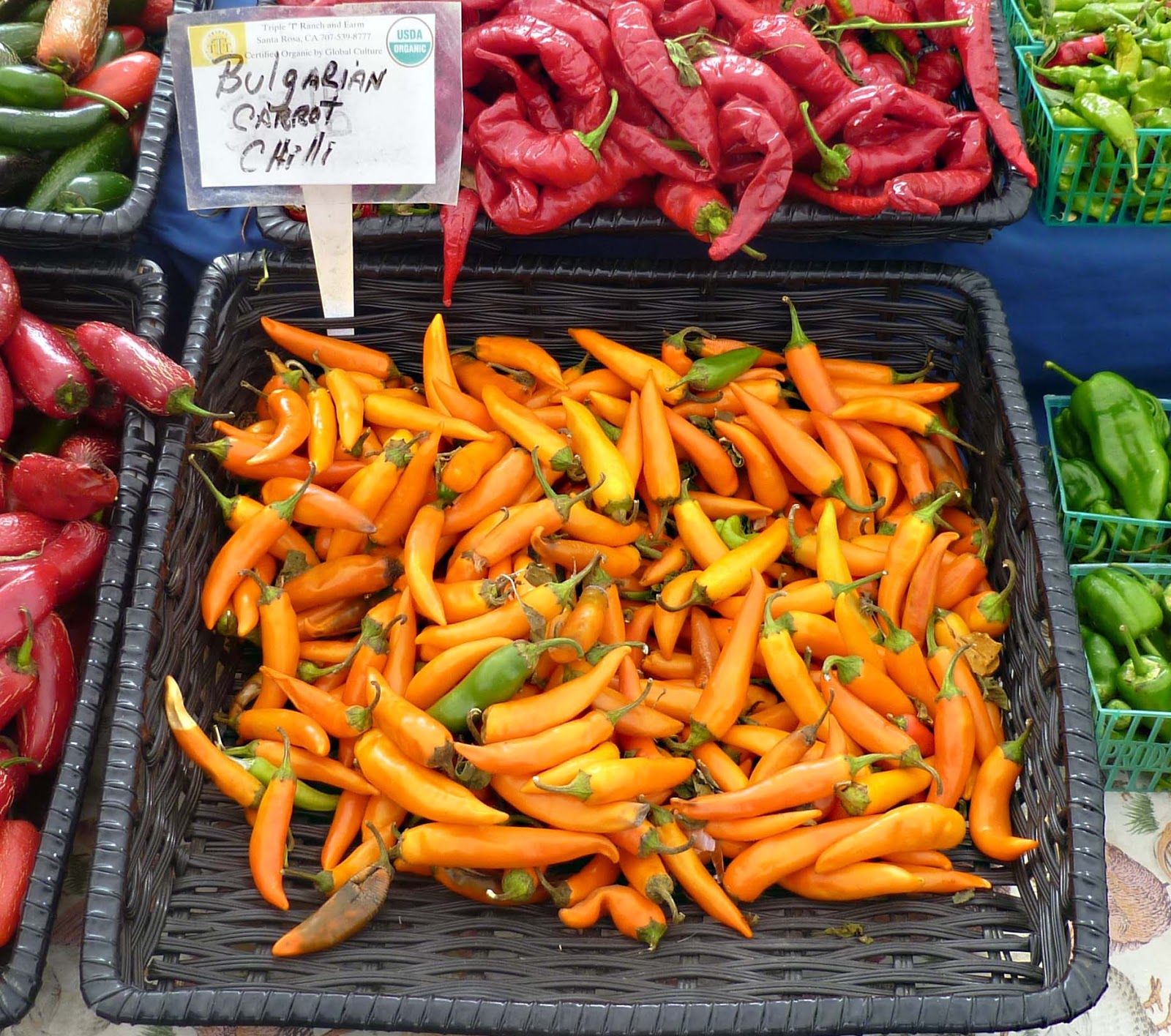 MAD MEAT GENIUS BULGARIAN CARROT CHILE HOT SAUCE