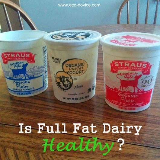 Are Fullfat Dairy Products Good for You? Econovice