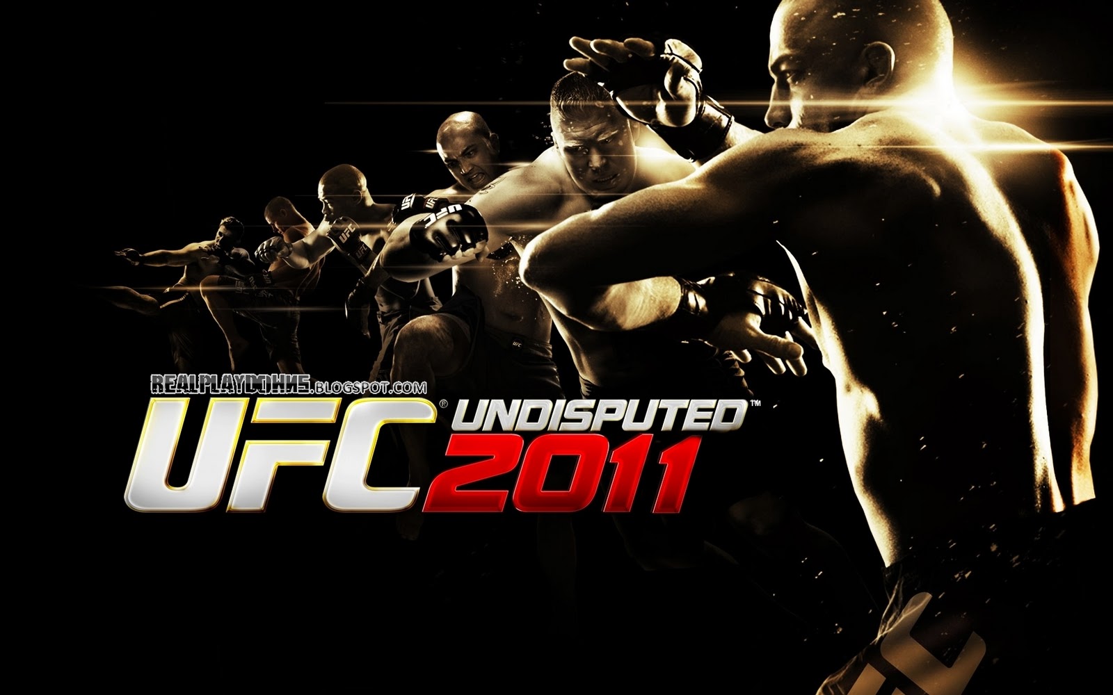 http://4.bp.blogspot.com/-3e6dKTl3Clo/TqXqpt7H8aI/AAAAAAAAD0U/a1NeWnZzcFc/s1600/wallpaper-ufc-undisputed-2010-1920x1200.jpg