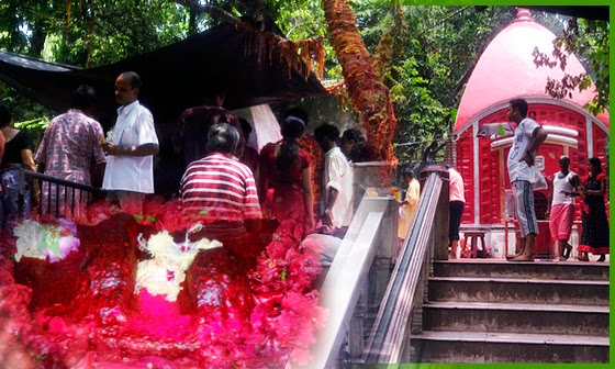 Bama's Samadhi Mandir, Pancha Mundi Asan, Padpadma (Foot Print) of Maa Tara Pancha Mundi Asan, padapada