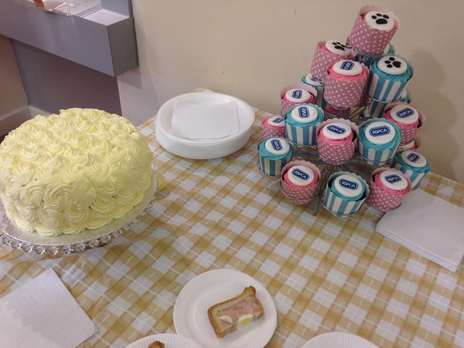 RSPCA Sheffield Blogger Day
